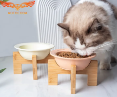 Керамическая миска для кошек зеленая